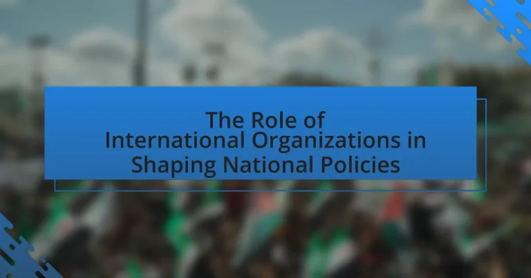 The Role of International Organizations in Shaping National Policies