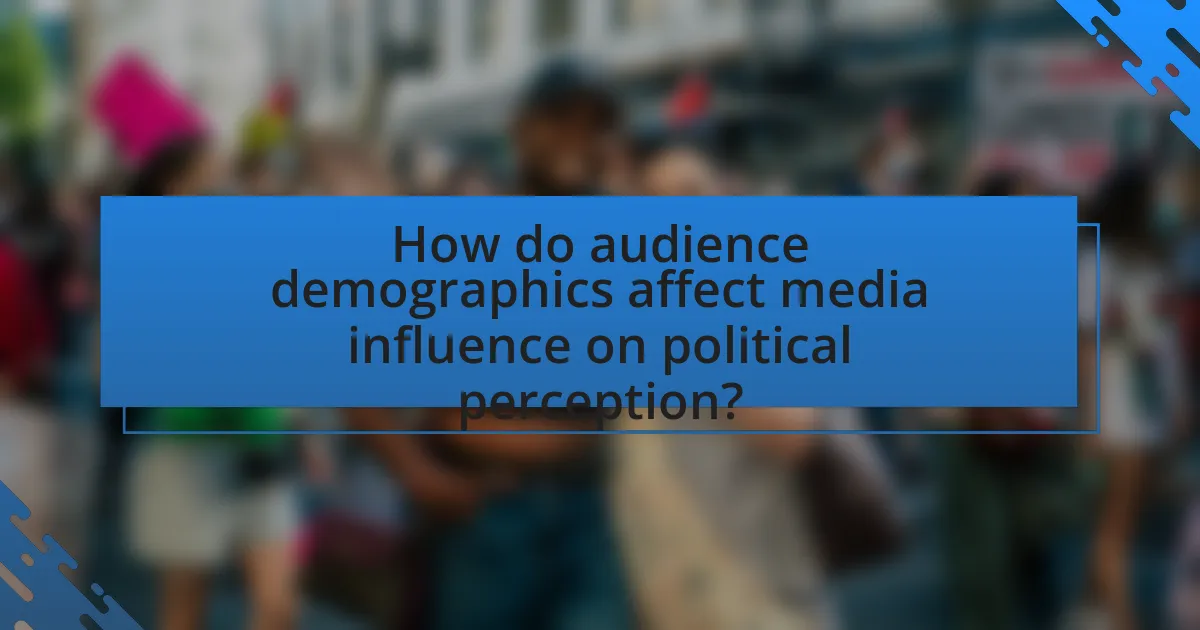 How do audience demographics affect media influence on political perception?