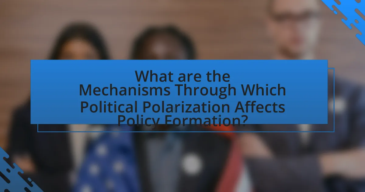 What are the Mechanisms Through Which Political Polarization Affects Policy Formation?