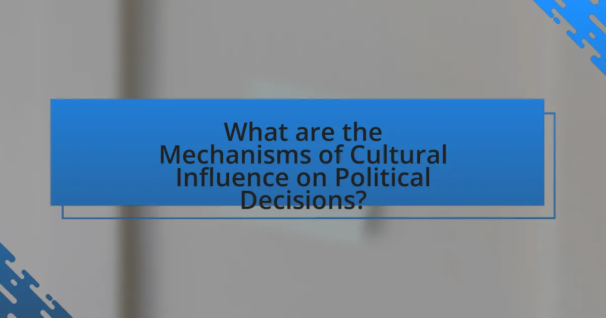 What are the Mechanisms of Cultural Influence on Political Decisions?