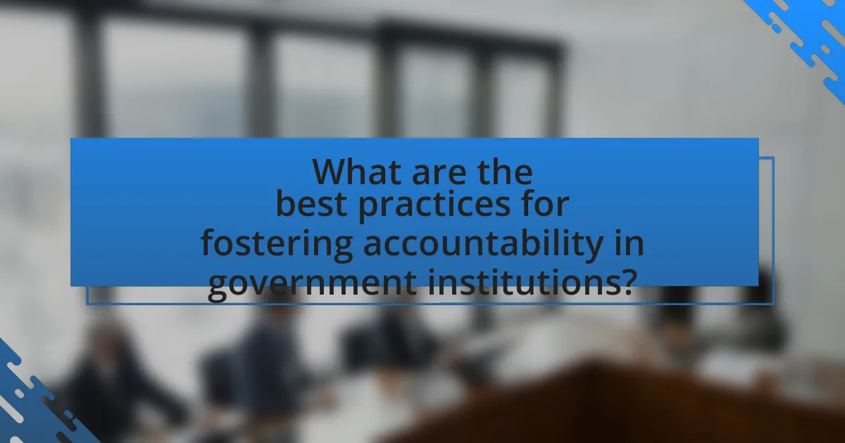 What are the best practices for fostering accountability in government institutions?