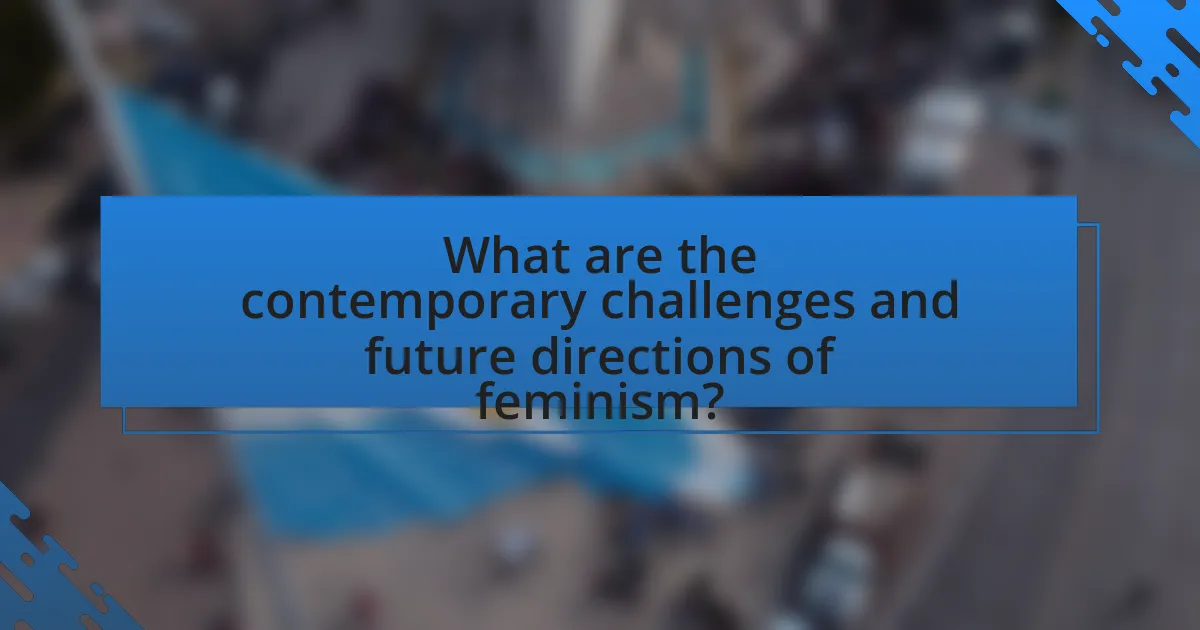 What are the contemporary challenges and future directions of feminism?