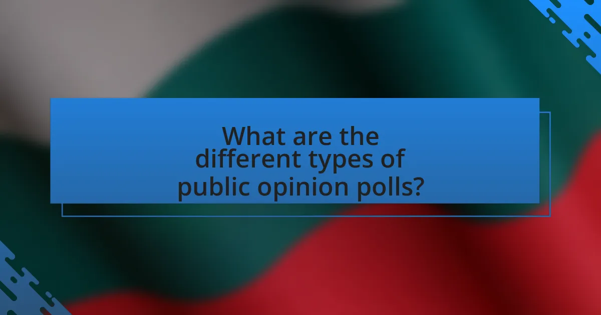 What are the different types of public opinion polls?