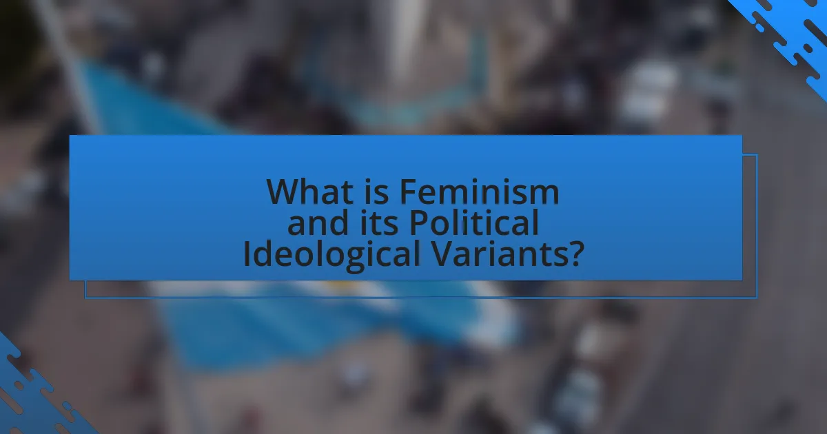 What is Feminism and its Political Ideological Variants?