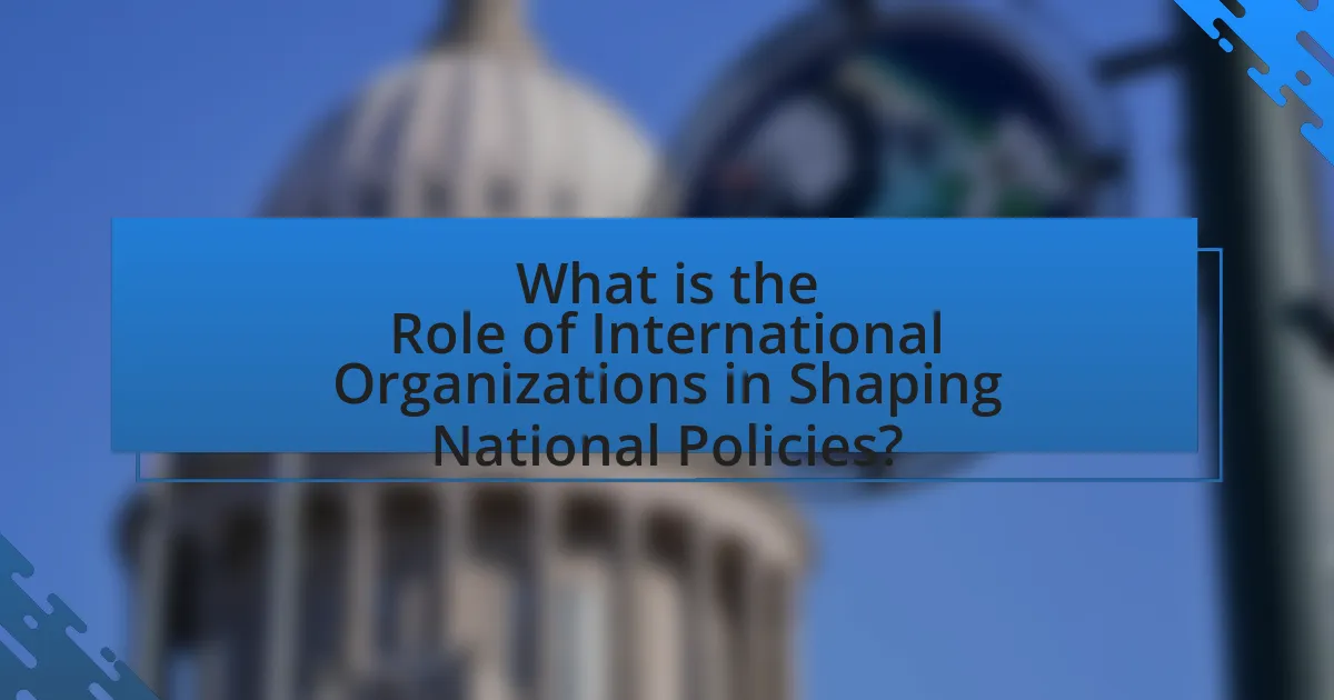 What is the Role of International Organizations in Shaping National Policies?