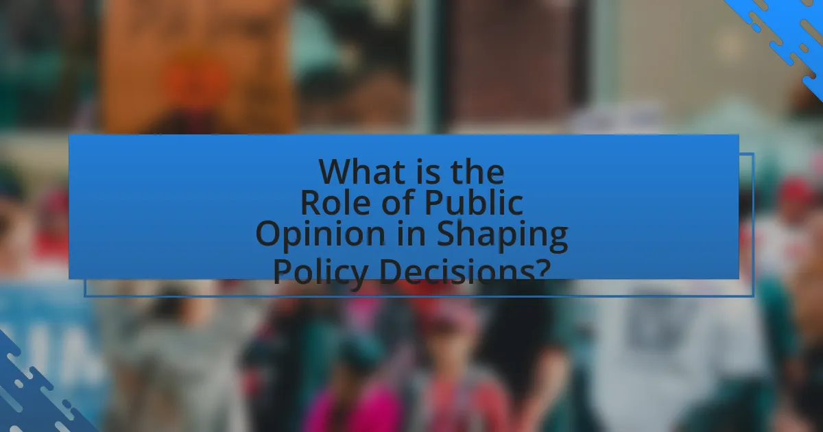 What is the Role of Public Opinion in Shaping Policy Decisions?